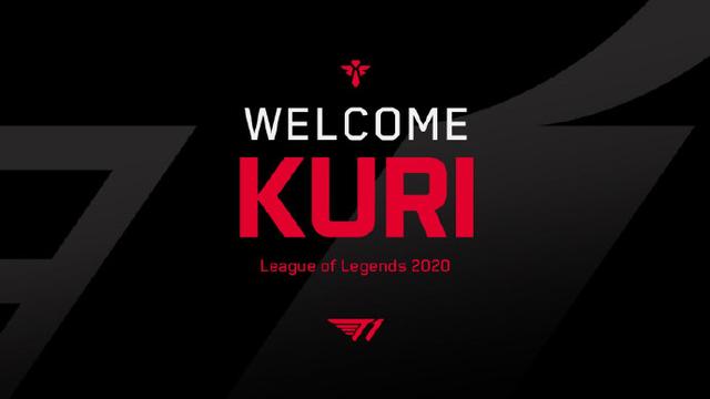 护上可谓下 护上可谓下