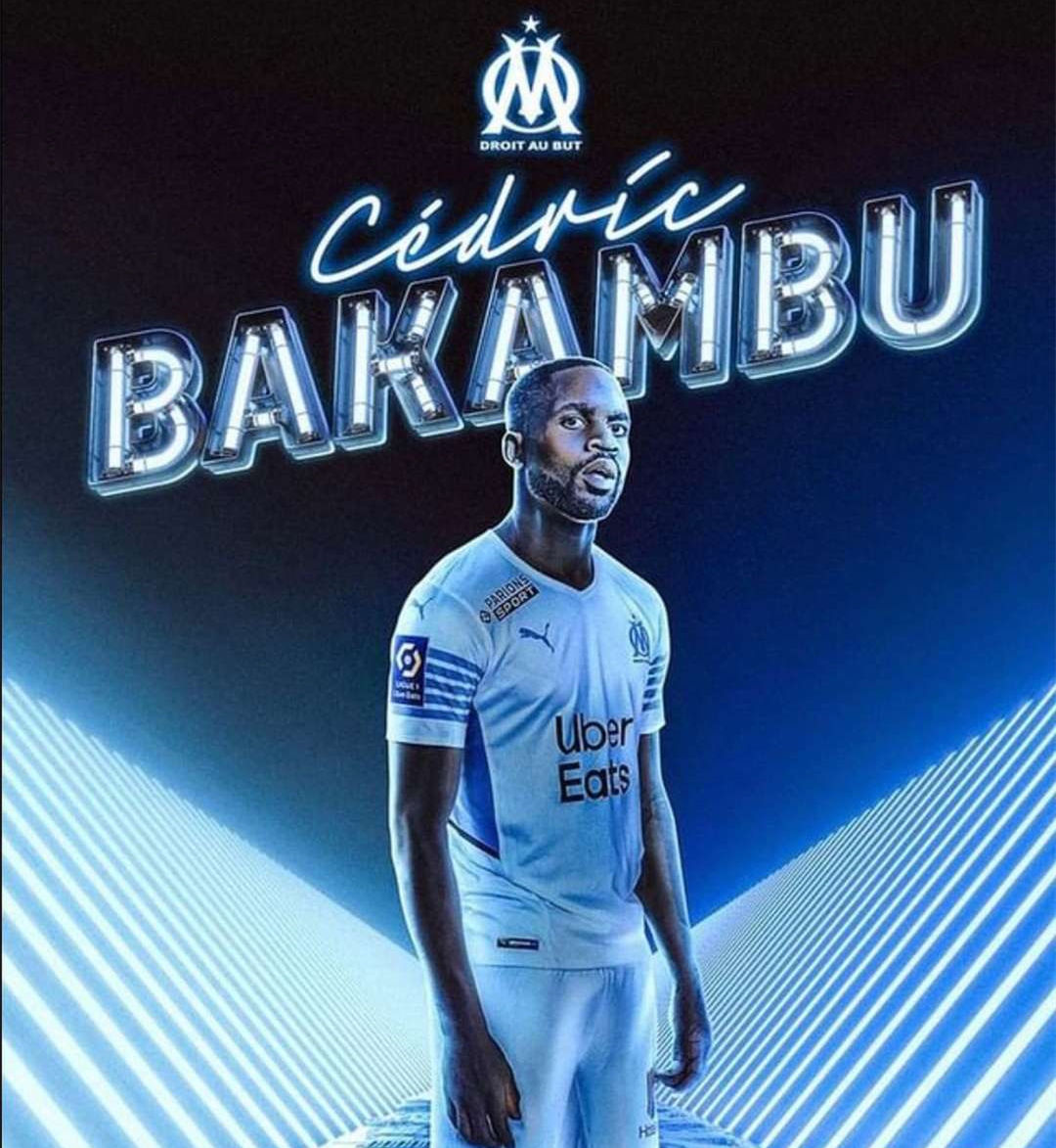 职业联盟的 职业联盟的